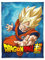 Herding Wellsoft-Flauschdecke Dragonball Super, 150 x 200 cm, Polyester