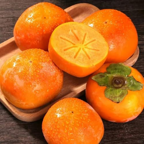 20 pcs Kaki Samen Winterhart Bio - bäume dekopflanzen hochbeet für balkon Diospyros kaki - Kaki Baum Pflanze obstbäume, zimmerpflanzen säulenobst, geschenke obst frisch pflanztopf