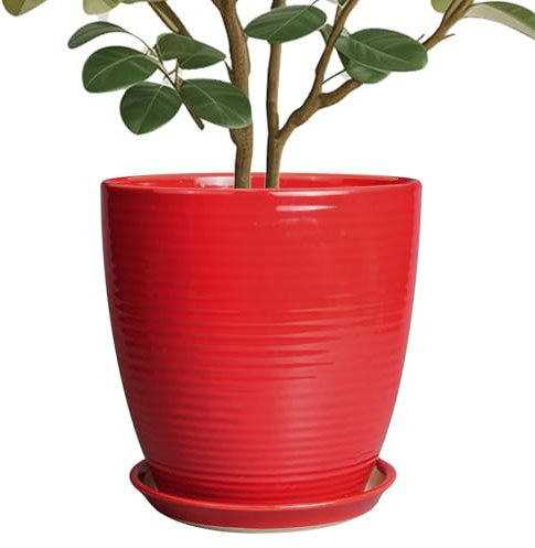 EPFamily Keramik Pflanzgefäß 25.4 cm - Keramiktopf für Pflanzen Großer Pflanztopf Innen mit Drainageloch und Untersetzer Rund Outdoor Pflanzgefäß Moderner Blumentopf für Gartenhaus Rot