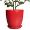 EPFamily Keramik Pflanzgefäß 25.4 cm - Keramiktopf für Pflanzen Großer Pflanztopf Innen mit Drainageloch und Untersetzer Rund Outdoor Pflanzgefäß Moderner Blumentopf für Gartenhaus Rot