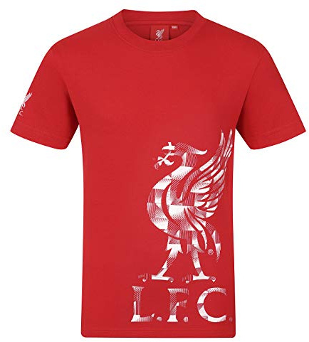 Liverpool FC Official Football Gift Mens Graphic T-Shirt Red Medium