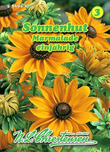 Rudbeckia hirta, Sonnenhut, Marmalade goldorange N.L.Chrestensen Samen