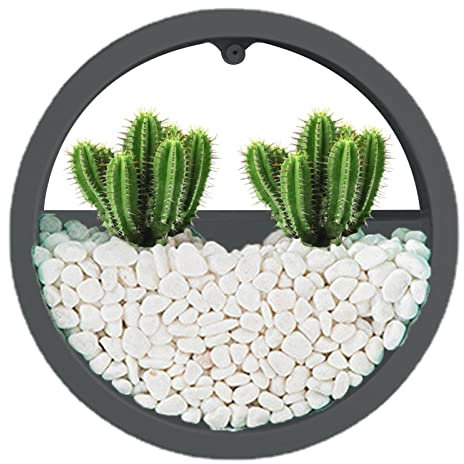 Meindin Pot de Fleurs Mural Rond, Mur Transparent, Pot de Fleurs Mural d'intérieur Rond à Fixation Murale pour artificielles en Verre