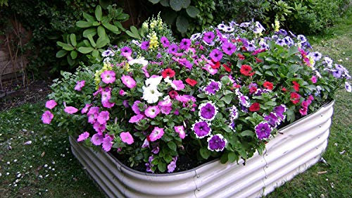 Estate to Garden Garden Raised bed metal galvanised steel planter 43cm tall 4 in 1 modular planter (Cream)