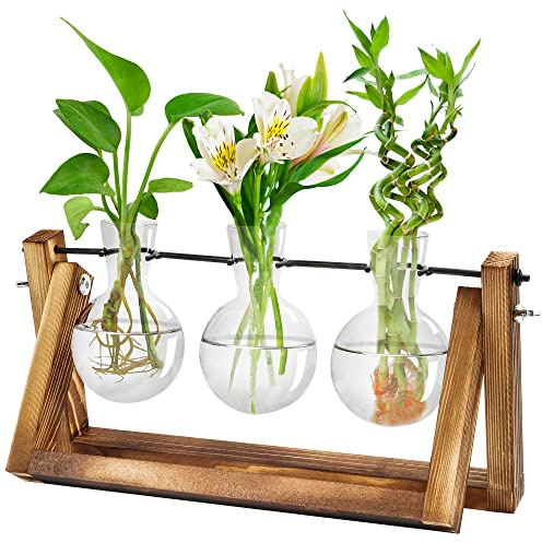 Terrarium avec support en bois rétro - Station de propagation en forme de cœur - Plantes hydroponiques pour la maison, le jardin, le bureau, la décoration de mariage (3 verres)