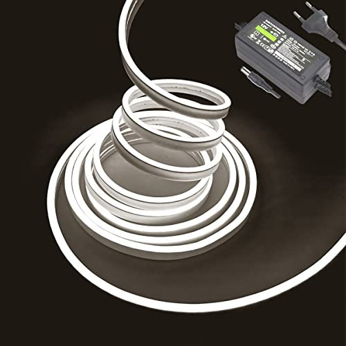 Balabaxer Weiß Neon-LED-Streifenlichter, 16,4 Fuß/5 m 12 V DC 600 SMD2835 LEDs Wasserdichtes Lichtschlauch für Indoor Outdoor Home Decoration (mit Netzteil)