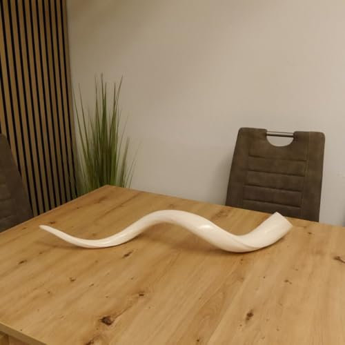GTK - Geweihe & Trophäen KRUMHOLZ 1 Stück Kudu Innenhorn glanzpoliert XLarge Neu HL 104 cm 80.20.4.14