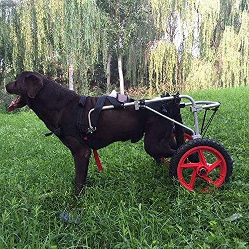 PJDDP Hund Rollstuhl, Zwei Räder Haustier Rollstuhl Verstellbarer, Hunderollstuhl Gehhilfe Hundegehilfe Der Hinteren Extremitäten Geeignet Für Große Und Kleine Hunde, Hinterbeine Rehabilitation,L