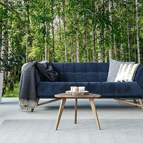 Muralo Vinyl Glatte FOTOTAPETE Wald Birken Stämme Gras Tapete Wandtapeten 460 x 300 Wohnzimmer Schlafzimmer Moderne Wandbilder XXL Wand Dekoration Br. 460 cm x Hö. 300 cm