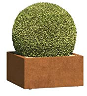 Bravios Pot de fleurs en acier Corten Triest Mini
