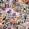 One Piece Collection Sticker Pack 60pcs for Water Bottles Laptops Cars Skateboards Mens Cave Decorations Teens Adults Sticker