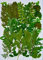 HANDI-KAFU Assorted Leaves Real getrocknete gepresste Blumen für Harz Kunst Handwerk DIY