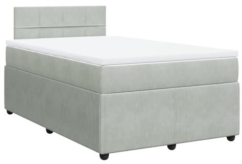 vidaXL Boxspringbett, Doppelbett mit Matratze Matratzenauflage, Bettgestell mit Lattenrost Kopfteil, Polsterbett Bett für Schlafzimmer, Hellgrau 120x200cm Samt