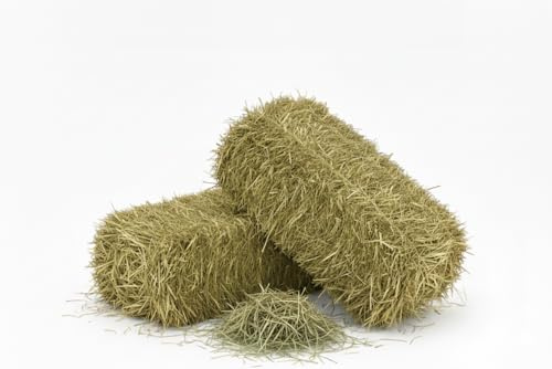 Foin naturel pour chevaux, ovins, chèvres et bétail 10 kg | Danse de foin italienne de prairie de montagne biologique | Nourriture pour tous les rongeurs, lapins et bétail | Haute Qualité