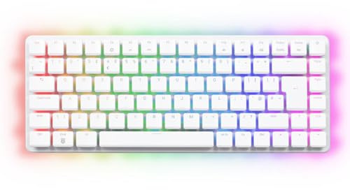 Raspberry Pi Mechanische Tastatur-Computer, 500+, 16 GB RAM, 256 GB SSD, Dual-4K-Ausgang, RGB-Beleuchtung, Gateron KS-33 Blue Switches, US-Layout, nur Einheit