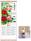 Chinesischer Wandkalender,Wandkalender,Kalender,Traditioneller Chinesischer Mondkalender,Chinesischer Wandschriftkalender,Snake Year Calendar,Neujahrskalender,Familienneujahrskalender 2025 Tokaneit