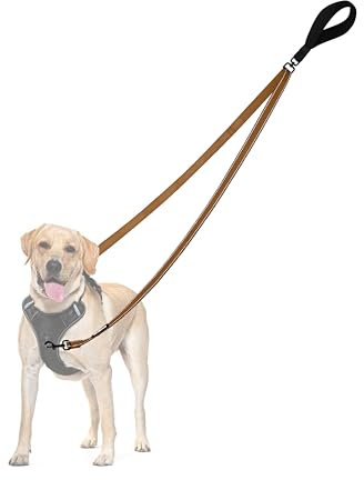 PetBonus No Pull Anti-Zieh Hundeleine, Keine Verwicklung Doppelleine für Anti-Zug Geschirr, Reflektierend Hundeleine zum Trainieren und Gassi gehen für große mittlere Hunde (Braun)