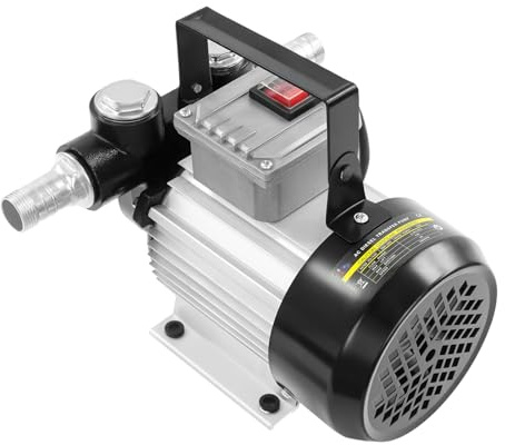 Bomba diesel 20-60L/min, bomba de gasolina de 220 V, bomba de aceite eléctrica, bomba de combustible eléctrica, tipo de enchufe de la UE, para diésel, queroseno