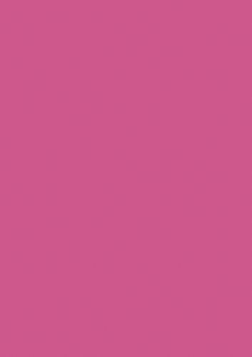Brunnen 105122526 Universalpapier, A4, 25 Blatt, 160 g/m², fuchsia