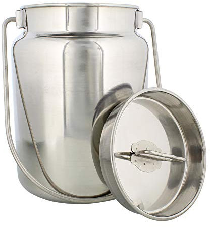 Rural365 Métal Pot à lait 1 Gallon (4L) en acier inoxydable Carafe et couvercle en métal – Lait Peut récipient à jus, bouteille de lait avec couvercle