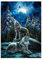 MXJSUA Diamond Painting Wolf, Full 5D Diamant Painting Wolf im Mondlicht, Diamond Painting, Diamond Painting Erwachsene Diamant Painting Bilder Kinder Daiments Painting für Heimwand Deko 30x40cm