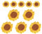 Milisten 10pcs Sun Flower Embroidered Iron on Applique Patches Cute Sunflower DIY Craft Jackets Jeans Bags Cloth T Shirt Decoration Accessories Scrapbook Small+Large