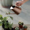 Arrosoir à Long Bec en Acier Inoxydable de Couleur Cuivre – Disponible en Petites, Moyennes et Grandes Tailles pour Le Jardinage et Un Usage Domestique (Moyen)
