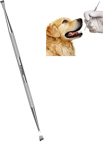 AFTREN Double Headed Tarter Scraper Dental Tooth Scaler Plaque Remover (Perfect for Cats and Dogs) Stainless Steel Teeth Cleaning Tool (Silver)