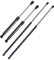 Frankberg 4x Gasfeder Dämpfer Motorhaube Heckklappe Kompatibel mit 5er Touring E61 520 523 525 530 535 545 550 M5 Kombi 2004-2010 Replace# 51247178273