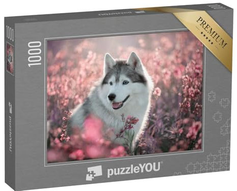 puzzleYOU: Puzzle 1000 Teile „Wunderschöner Husky auf einem blühenden Feld“ – aus der Puzzle-Kollektion Hunde, Huskys, Tiere des Nordens