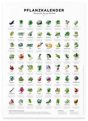531 Rheinland Design Pflanzkalender und Aussaatkalender für den Garten, Aussaatzeiten für 64 verschiedene Gemüsesorten als Poster in Farbe mit und ohne Rahmen (30 x 40 cm, Poster)