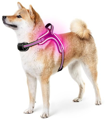 Light Up Light Hundegeschirr Leuchtend Aufladbar, LED Hundegeschirr Mit Griff, Reflektierende Brustgeschirr für Bleiben Sie Nachts Sicher für mittelgroße große Hunde(Rosa, M)