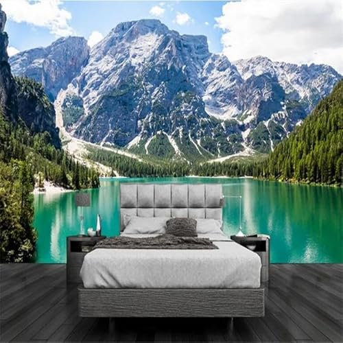 Tzxztt Beauté FraîChe Montagne EnneigéE Eau Calme Lac Wonderland Papier Peint 3d Moderne En Soie GaufréE MatéRiau IdéAl Pour Le Salon Et La Chambre à Coucher-350cm×256cm