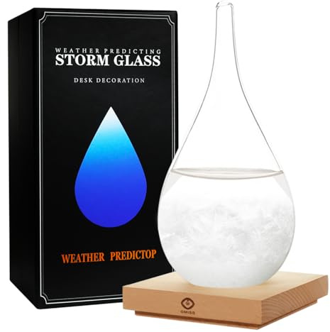 Regalos únicos de Navidad, predictor meteorológico de cristal de tormenta, barómetro de globo de nieve de Navidad, estación meteorológica de vidrio de tormenta, predictor meteorológico decorativo