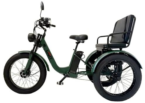 flatpincololee Elektro Dreirad Fahrrad Erwachsene, 3 Räder Kippsicher Design, rutschfeste Reifen 24 20 Zoll, Großer Transportkorb, für Einkäufe, Arbeit, Freizeit und tägliche Mobilität Green