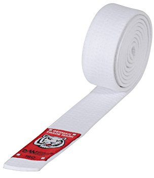 DanRho Junior Taekwondo Judo Karate Gürtel 4 cm Budogürtel 1-farbig einfarbig