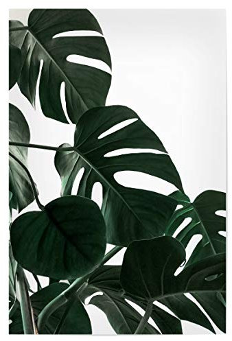 artboxONE Poster 30x20 cm Typografie Natural Monstera hochwertiger Design Kunstdruck - Bild Typografie von AB1 Edition