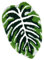 Tufted Bathroom Rugs 51 x 81cm Extra Soft Green Bath Mat Machine Washable Cute Leaf Rug Non Slip Durable for Kitchen Bedroom Toilet