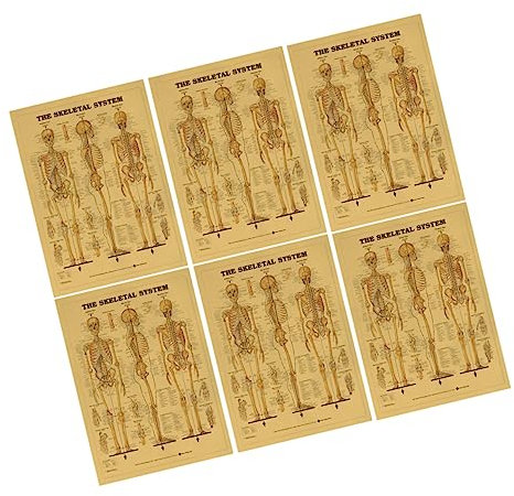 MUCKLILY 6stücke Menschliches Skelett Poster Set Für Bar Und Dekoration Kraftpapier Mit Skelett Menschengestaltung Für Schlafzimmer Und Wohnzimmer Einrichtung