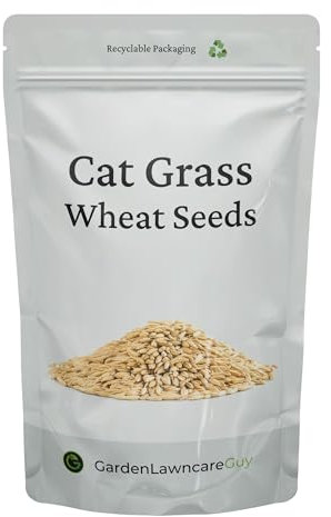 Cat Grass Seeds UK for Indoor & Outdoor Cats - Nutritious & Delicious Source of Fibre - Fast Growing - 150g Bulk Pack Makes 50 pots