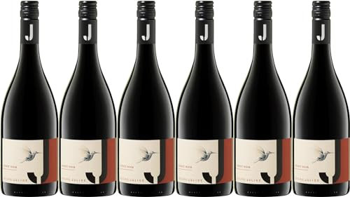 Julius PINOT Noir Spätburgunder 2023 Trocken Bio (6 x 0.75 l)