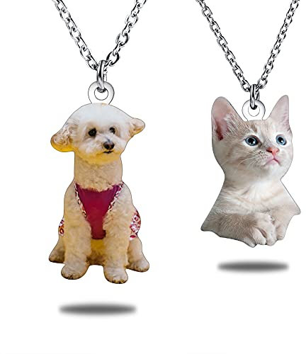 MeMeDIY Benutzerdefinierte Haustier Bild Anhänger Halskette Edelstahl Katze Hund Tiere Foto Farbig/Schwarzweiß Foto Namen Personalisierte Geschenke für Frauen/Männer/Tierliebhaber (farbig)