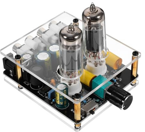 Gatuida Preamplificatore Valvolare Hi-fi Per Home Theater Scheda Amplificatore Portatile Con Design Elegante Facile Installazione e Audio Senza Compatibile Con Sistemi Audio Esistenti