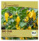 Samenliebe BIO Chili Samen Gemüsesamen alte Sorte Lemon Drop 10 Samen Gemüse Samen Garten Chili Saatgut samenfeste einjährig Pflanzen für Gewächshaus, Garten und Balkon