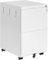 HOOBRO Rollcontainer mit 2 Schubladen, Mobiler Aktenschrank, Schreibtisch Unterschrank, Bürocontainer abschließbar mit 5 Rollen, 39 x 52 x 67 cm, für A4, Legal, Letter Akten, Weiß EWT12WJ01
