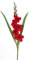 artplants.de Künstliche Blume Gladiole ELEA, rot, 85cm, Ø 3-10cm