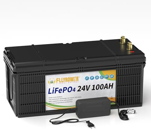 FLLYROWER 24V 100AH Lifepo4 Lithium Batterie mit BMS Low Temperature 18500 Tiefe Zyklen 2560Wh 100ah Lithium Batterie für Wohnmobil,Solaranlage,Schleppmotor, Haushalt,Solarpanel Kit,Camping