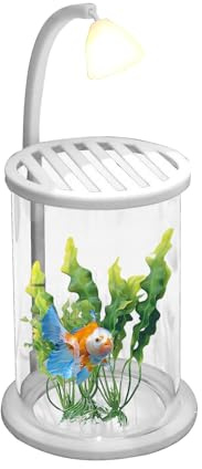 Mini Betta Fish Aquarium - Steckdose 24,5 x 10 x 10 cm in einem Behälter aus PP-Glas, kompakt, elegant, transparent, robust mit eingebautem Licht, dekorativer Wasserraum für das Wohnzimmer