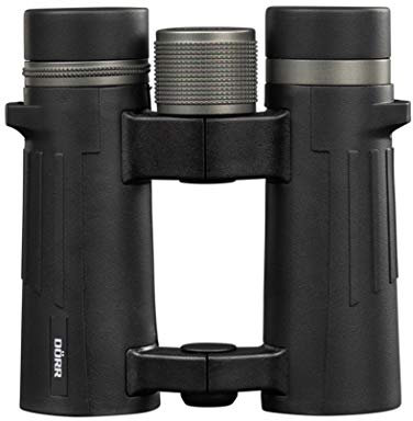 DÖRR Milan XP 10x34 Dachkantfernglas schwarz