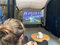 Tent Projector Screen Outwell Black